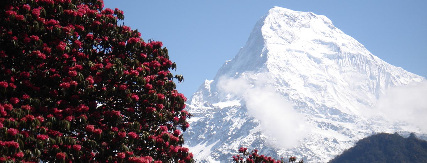 Annapurna Trek