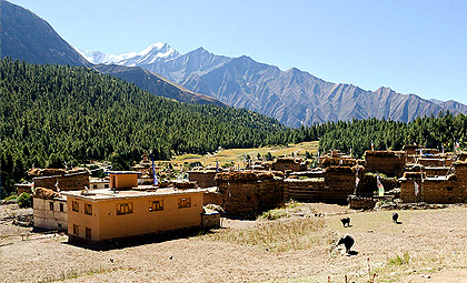 Upper Dolpo via Talphi Trek