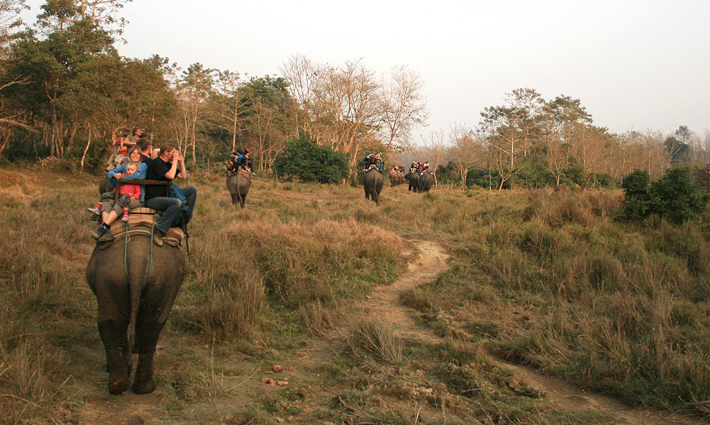 Chitwan Jungle Safari (1 Night / 2 Days)