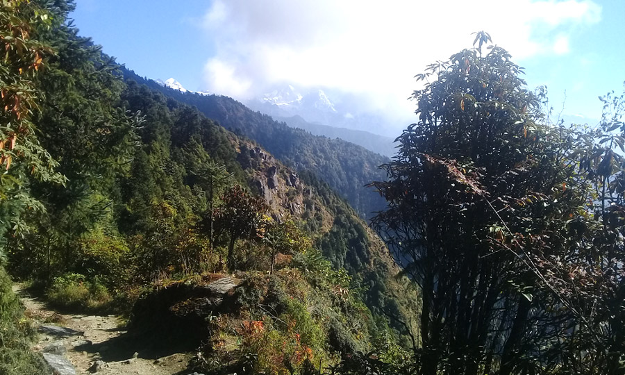 Helambu Trek with Kathmandu Valley Tour