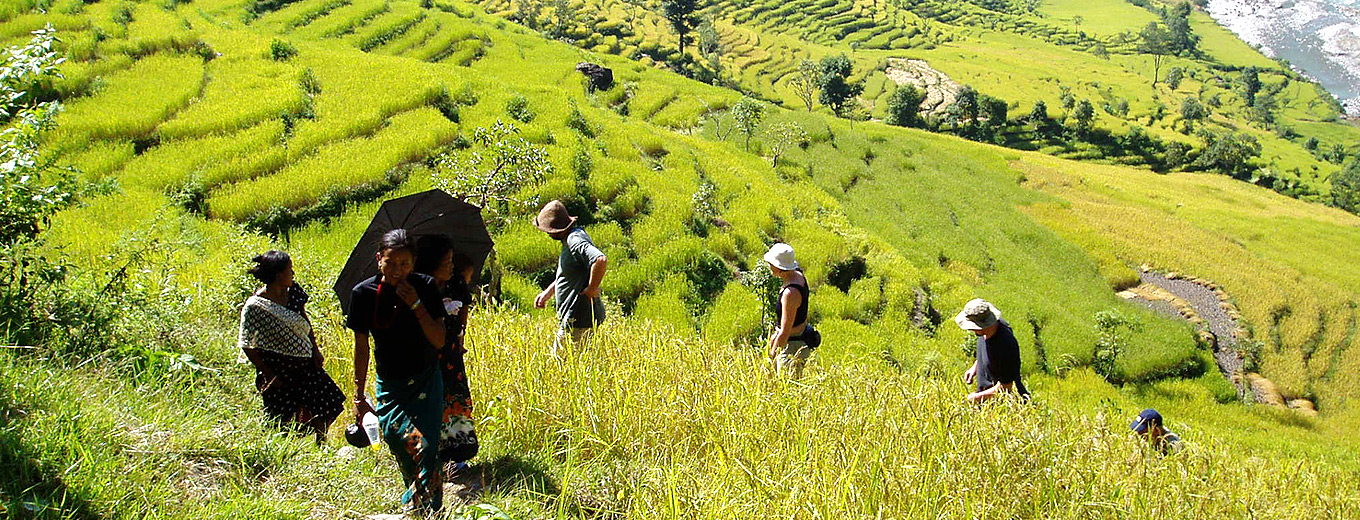 Agriculture Tour in Nepal