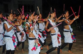 Chitwan Jungle Safari (1 Night / 2 Days)