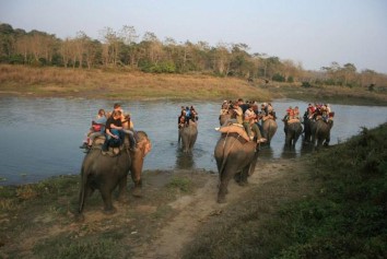 Chitwan Jungle Safari (3 Nights / 4 Days)