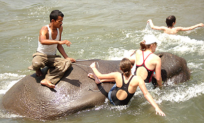 Chitwan Jungle Safari (3 Nights / 4 Days)