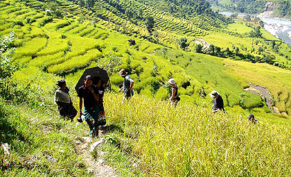 Agriculture Tour in Nepal