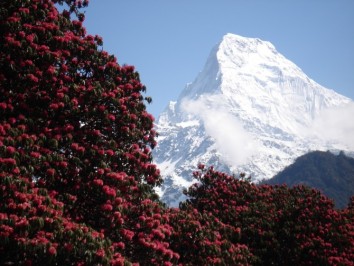Annapurna Base Camp Trek with Kathmandu Tour