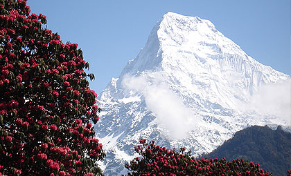 Annapurna Trek