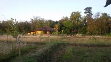 Bardiya Jungle Safari Tour (3 Days)