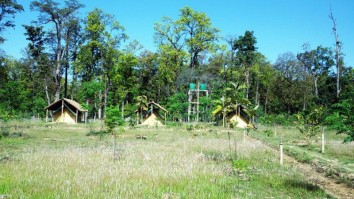 Bardiya Jungle Safari Tour (3 Days)