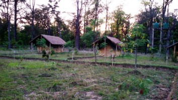 Bardiya Jungle Safari Tour (4 Days)