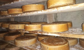Numbur Cheese Circuit Trek (16 Days)
