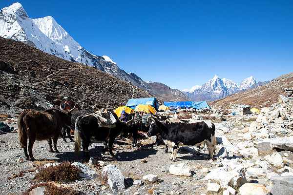 Chhukung