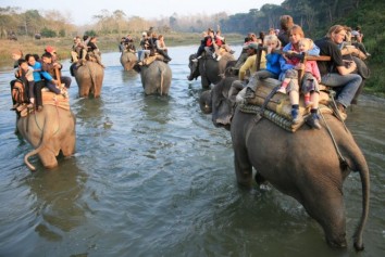 Chitwan Jungle Safari Package (2 Nights / 3 Days)