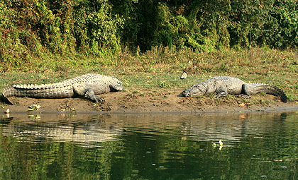Chitwan National Park Tour