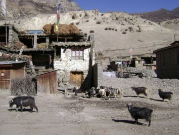 Jomsom - Muktinath Cultural Trek