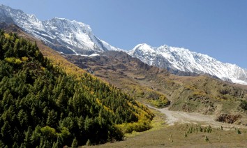 Dolpo Rara Trek (24 Days)