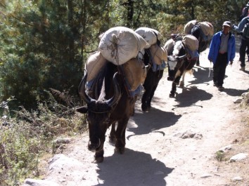 Everest Base Camp Trek via Kongma La