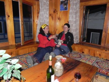 Full Board Lodge (Tea House) Based Trek