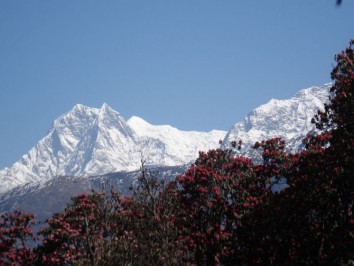 Ghandruk - Ghorepani Trek