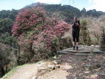 Ghorepani – Poon Hill – Ghandruk Trek (Fly-In / Fly-Out)