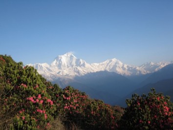 Ghorepani – Poon Hill – Ghandruk Trek (Fly-In / Fly-Out)