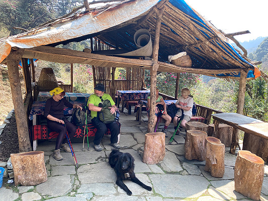 Ghorepani – Poon Hill – Ghandruk Trek (Fly-In / Fly-Out)