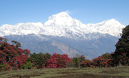 Ghorepani Trek with Kathmandu City Tour (10 Days)