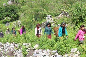 Honey Hunting in Gorkha (Nimrung Khola)