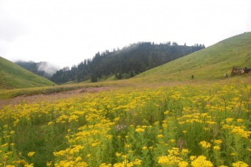 Jaljala Trek (12 Days)