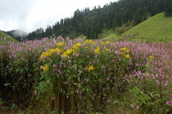 Jaljala Trek (12 Days)