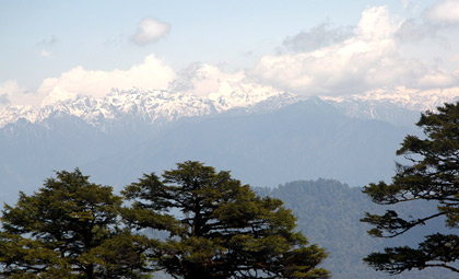 Jhomolhari Trek