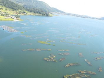 Kathmandu - Chitwan - Lumbini - Pokhara Tour (12 Days)