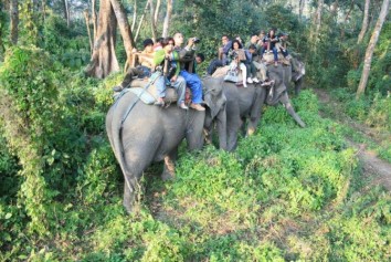 Kathmandu - Chitwan - Lumbini - Pokhara Tour (12 Days)