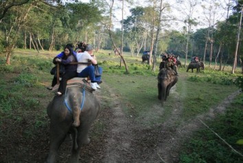 Kathmandu-Chitwan-Pokhara Tour (9 Days)
