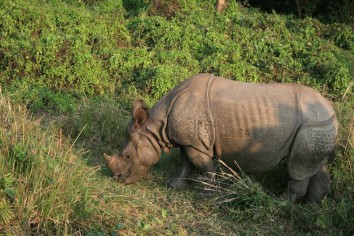 Kathmandu-Nagarkot-Pokhara-Chitwan Tour