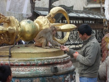 Kathmandu Nagarkot Tour (6 Days)