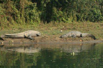 Kathmandu - Pokhara - Chitwan Tour