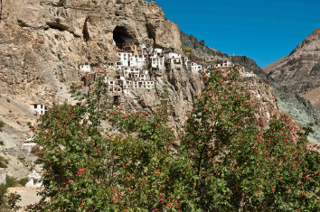 Markha Valley Trek Tour