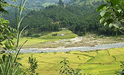 Langtang-Gosainkunda-Chisapani Trek