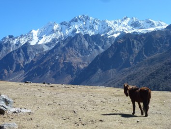 Langtang Helambu Trek