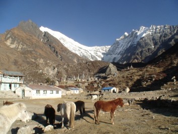 Langtang Valley Trek