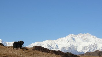 Nambu - Singalila Trek