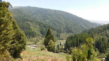 Nambu - Singalila Trek