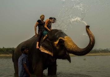 Nepal Wildlife and Culture Tour