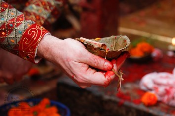 Hindu Wedding Tour