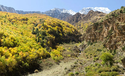 New Trekking Route