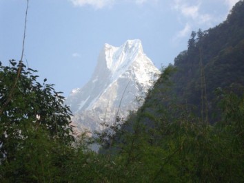 Royal Trek