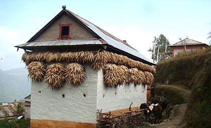 Sailung Trek