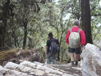 Shivapuri Day Hiking