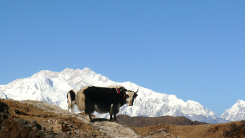 Sikkim Trekking Tour